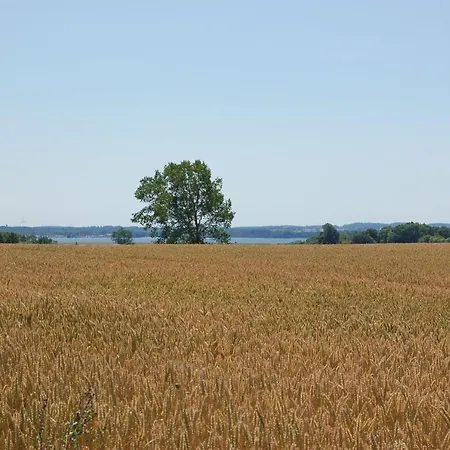 Apartamento Poeler Immenhof